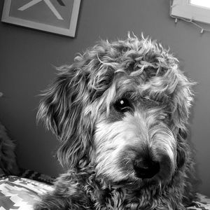 Meet your Posher, Emma